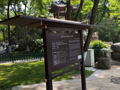 -莲湖公园