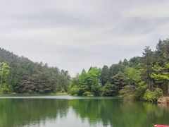 -四明山国家森林公园