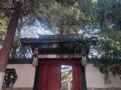 -南山公园