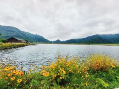 -大九湖