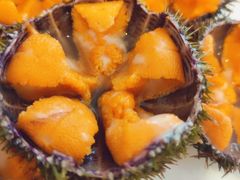 -海胆小馆(东北水饺·春柳店)