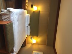 史丹福瑞士酒店-新加坡瑞士史丹福酒店