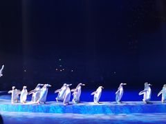 -珠海横琴长隆《卡卡虎奇遇记》