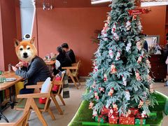 大堂-Dragon Pizza•圆脸龙披萨·牛排餐厅
