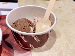 哈根达斯-芭菲盛宴·环球美食(解放碑英利国际店)