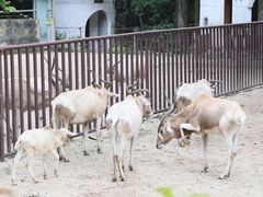 -广州动物园