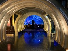 -迪拜帆船酒店海底餐厅