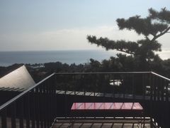 -朝安泰迪熊博物馆