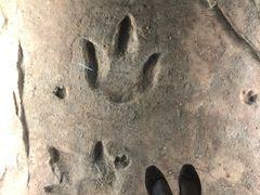 -湖南省地质博物馆