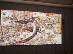 -君之悦·影院式足道·养生SPA(回兴店)