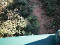 -野象谷景区