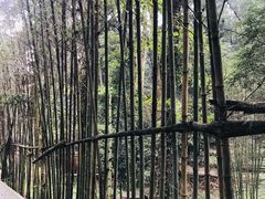 -凤栖山