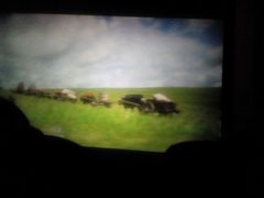 android_upload_pic-星美国际影城(迪信通店)