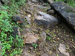 -碓臼峪自然风景区