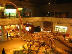 -自贡恐龙博物馆