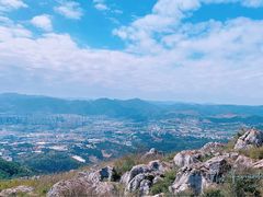 -长虫山生态公园风景林