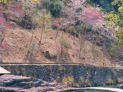-温州永嘉书院