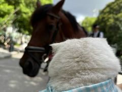 -J Create城市露营咖啡·简餐·宠物(上海动物园店)