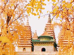 -北京石刻艺术博物馆(五塔寺)