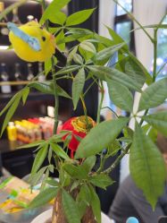 -豪帅男士理容馆