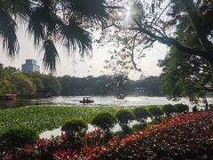 -荔湾湖公园