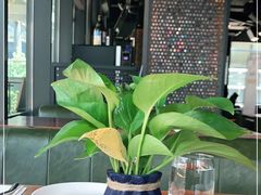 -MARU玛露音乐餐厅(前滩世贸店)