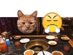 -杨家火锅(国美店)