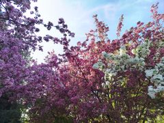 -元大都城垣遗址公园