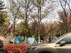 -灞河西岸滨河公园