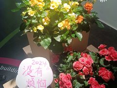 -海底捞火锅(珠影星光城夜宵主题店)
