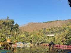 -西双版纳原始森林公园