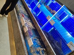 -船歌·鱼水饺青岛菜(黄岛珠江路店)