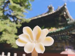 -潭柘寺景区