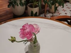 -有序Orderly融合西餐·咖啡(运河外滩店)