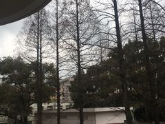 -上海大学(嘉定校区)