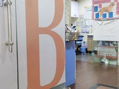 -宠物星动物医院·眼科·异宠·猫科(江南大道总院)