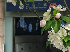 -北京丽晶酒店