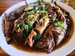 海杂鱼-张会海鲜饭店(东戴河店)