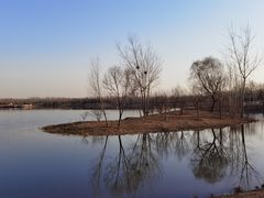 -东郊湿地公园
