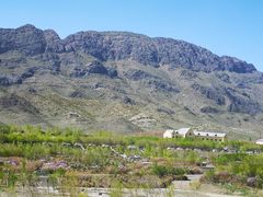 -新疆天山野生动物园