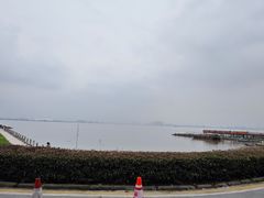 -海鸥岛