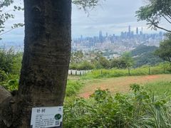 -广州市白云山风景名胜区