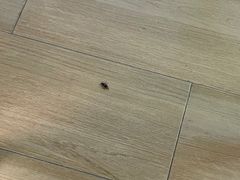 -新田360广场(上海华侨城店)