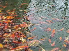 景点-南京银杏湖乐园