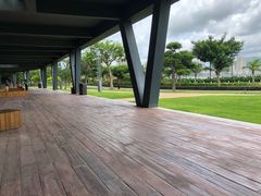 -野狸岛