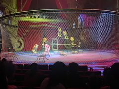 -珠海横琴长隆《卡卡虎奇遇记》