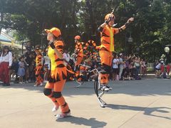-小熊维尼历险之旅