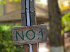 -春晖园度假酒店温泉