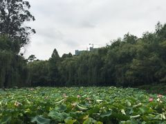 -月牙潭公园