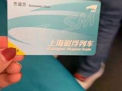 -浦东1号2号航站楼(地铁站)